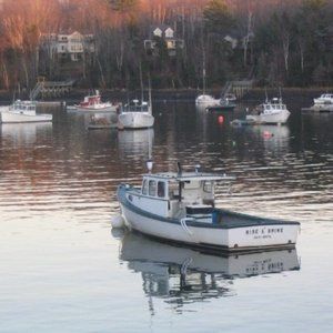 Meet your Posher, Tenley